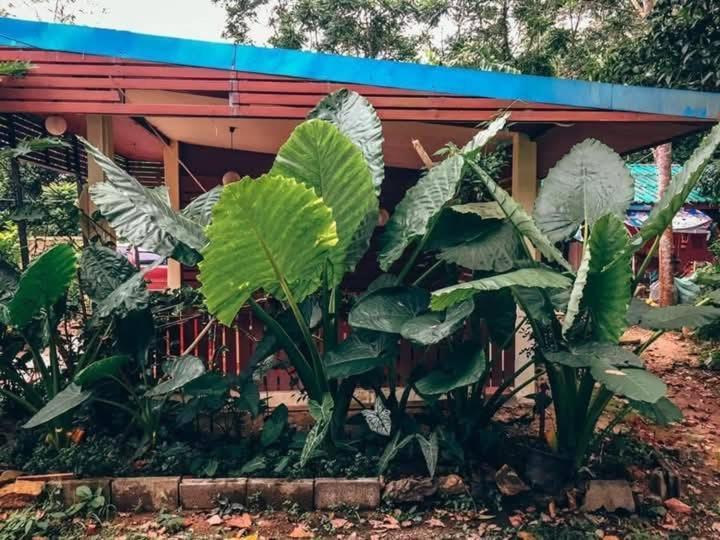 Song Pee Nong Resort Phattalung Phatthalung Dış mekan fotoğraf